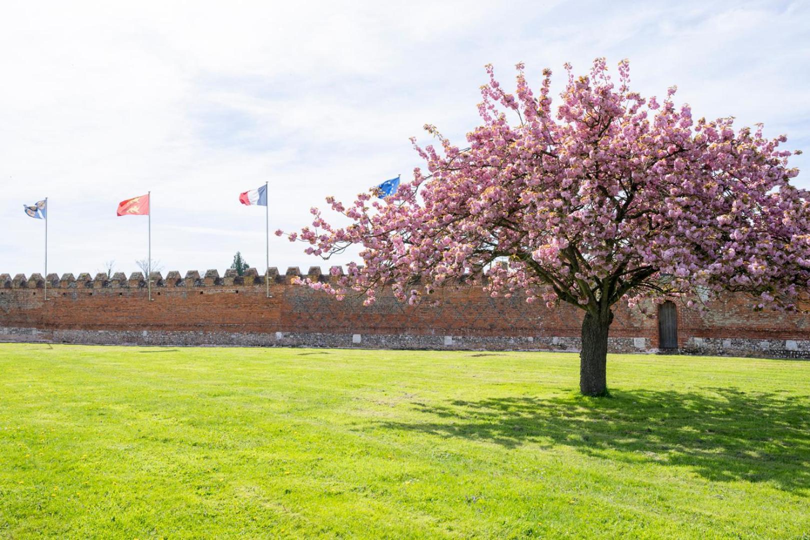 Chateau De Tilly Boissey-le-Chatel Eksteriør bilde